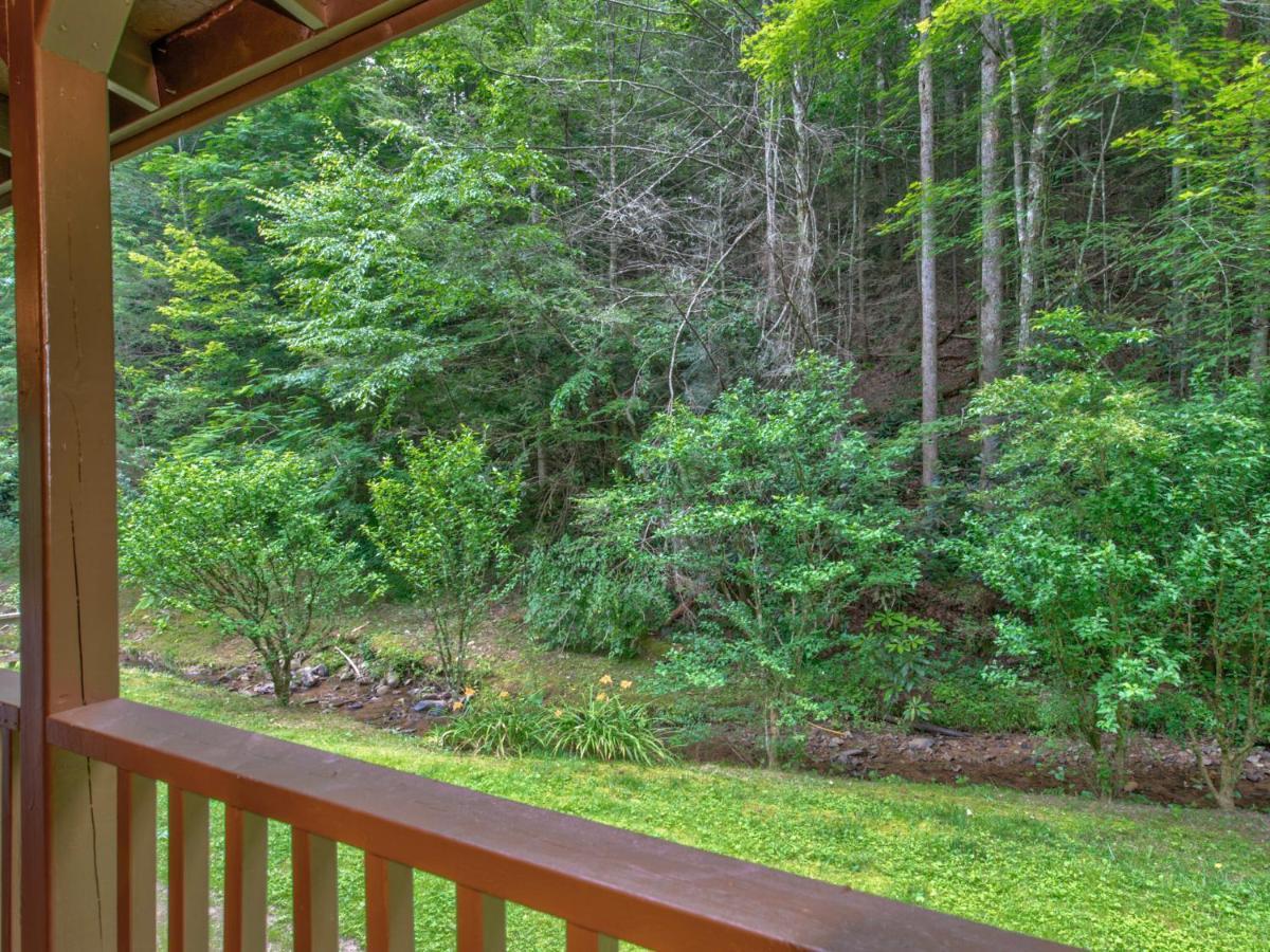 Eagle Creek, 2 Bedrooms, Hot Tub, Porch, Sleeps 6 Gatlinburg Buitenkant foto